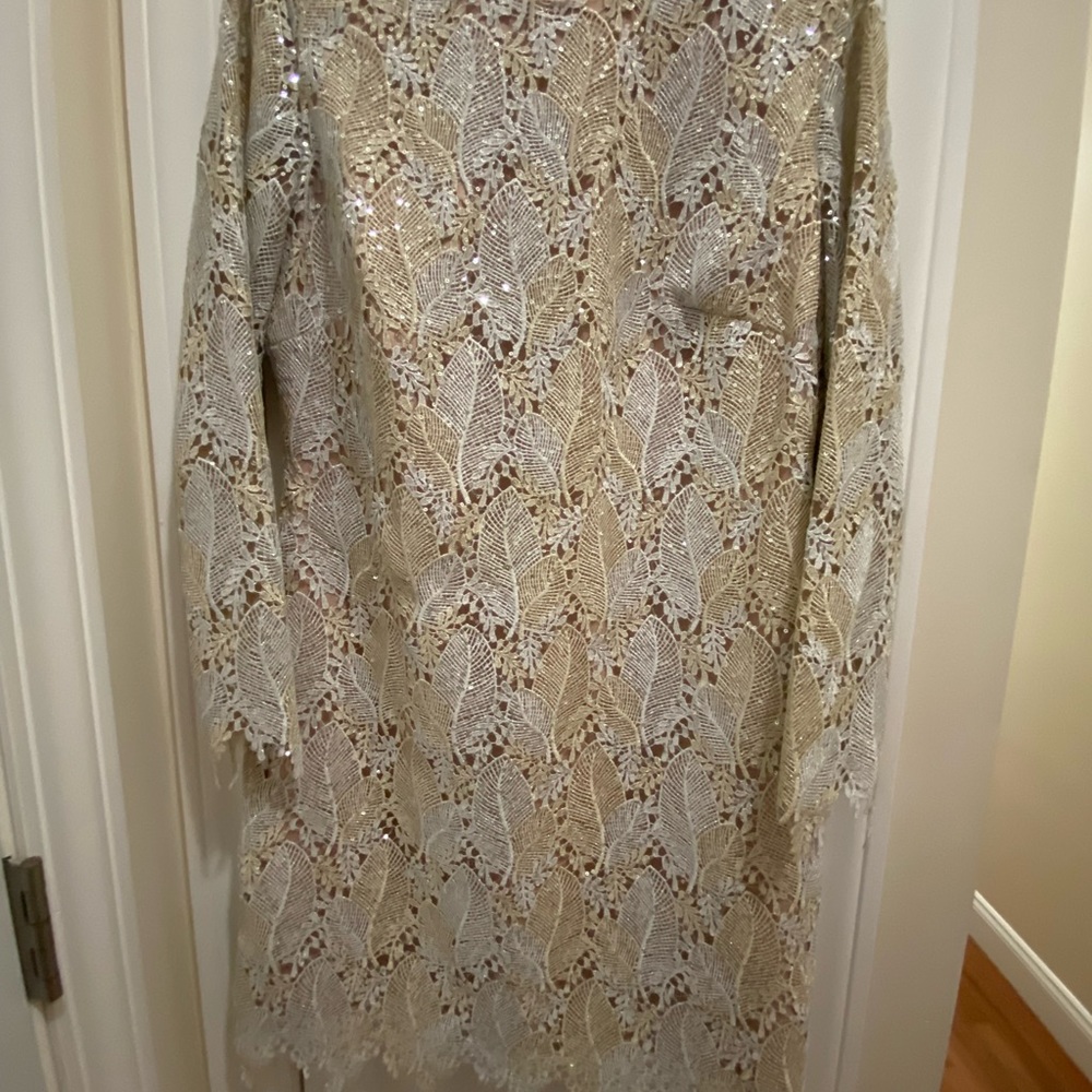 Beautiful lace dress with sequins details. In a gold and ivory color.